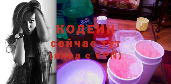 стаф Киренск