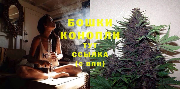 стаф Киренск