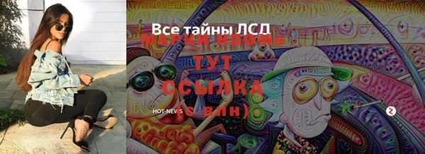 стаф Киренск