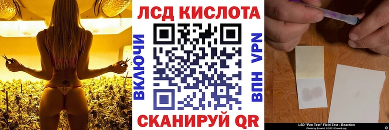 Наркотические марки 1,5мг  Свободный 