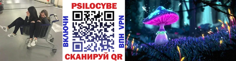 MEGA как зайти  Свободный  Псилоцибиновые грибы прущие грибы 