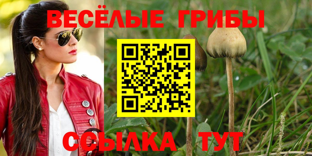 Псилоцибиновые грибы прущие грибы  Вход с VPN  Свободный 