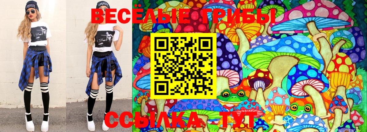 Галлюциногенные грибы Psilocybe Свободный