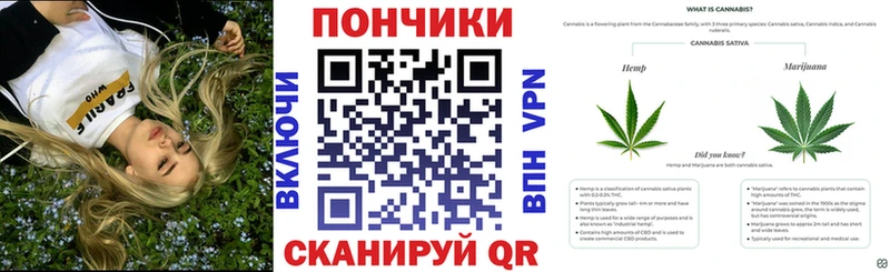 omg ТОР  Свободный  Конопля семена 